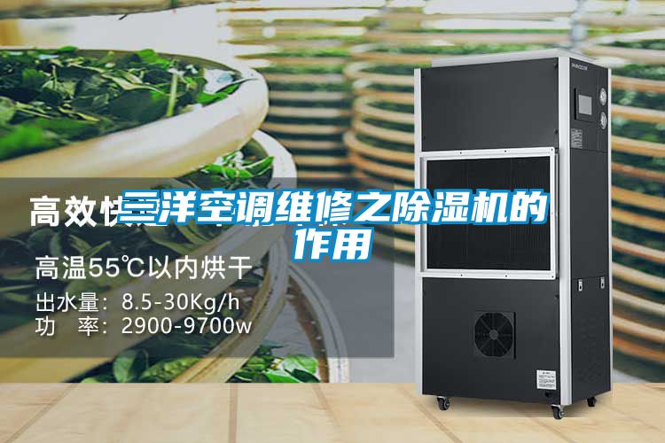 欧美黄色性爱视频网站 三洋空调维修之除湿机的作用