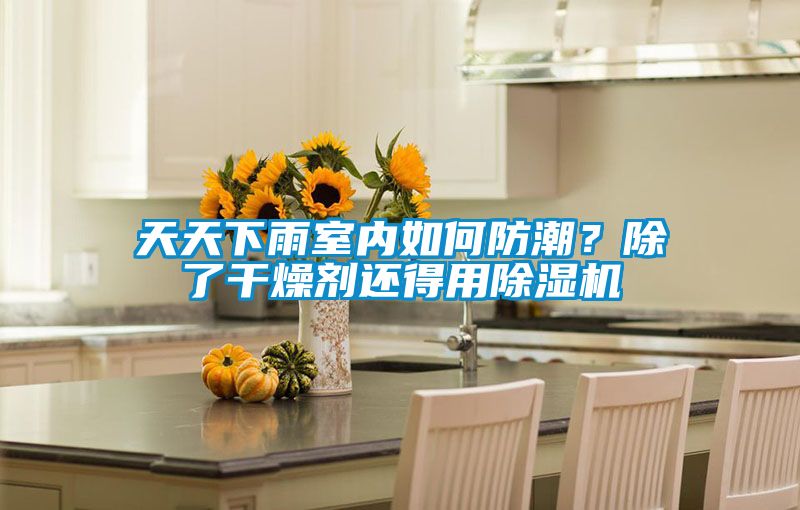 欧美成色手机在线观看 天天下雨室内如何防潮？除了干燥剂还得用除湿机