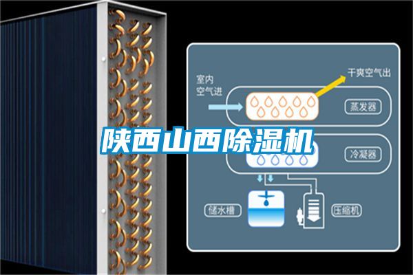 欧美黄色性爱视频网站 陕西山西除湿机