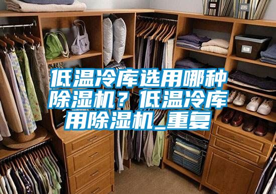 欧美成色手机在线观看 低温冷库选用哪种除湿机？低温冷库用除湿机_重复