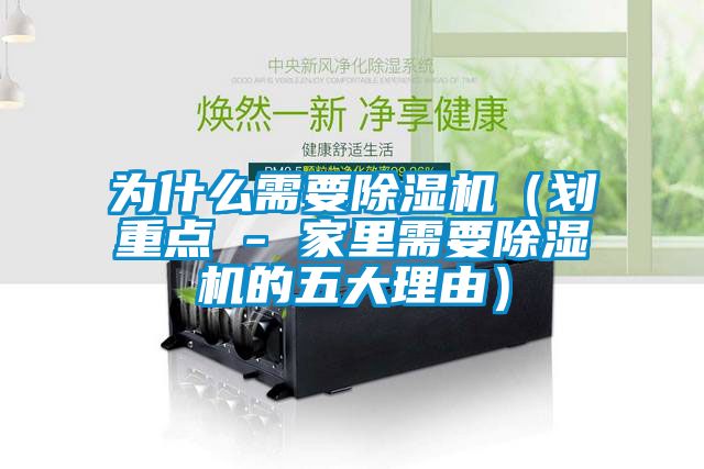 欧美成色手机在线观看 为什么需要除湿机（划重点 - 家里需要除湿机的五大理由）