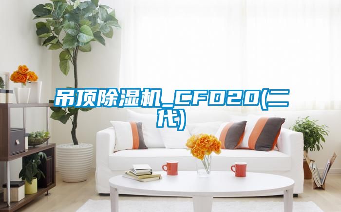 欧美黄色电影在线播放 吊顶除湿机_CFD20(二代)