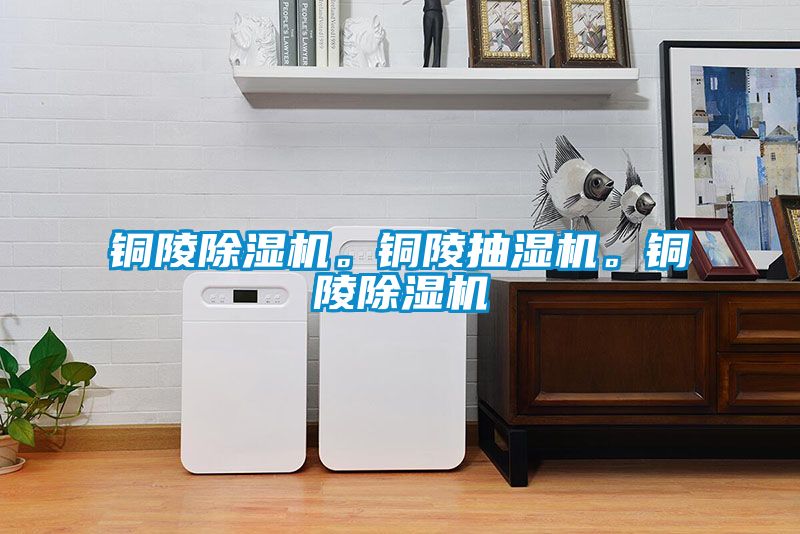 欧美成色手机在线观看 铜陵除湿机。铜陵抽湿机。铜陵除湿机