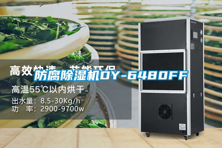 欧美黄色电影在线播放 防腐除湿机DY-6480FF