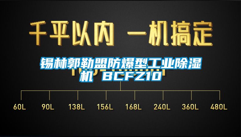 欧美黄色电影在线播放 锡林郭勒盟防爆型工业除湿机 BCFZ10