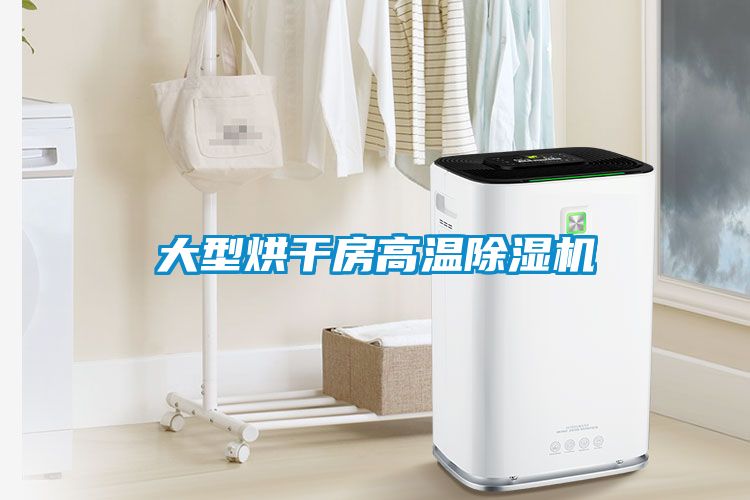 欧美黄色电影在线播放 大型烘干房高温除湿机