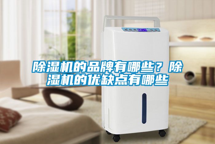 欧美黄色性爱视频网站 除湿机的品牌有哪些？除湿机的优缺点有哪些