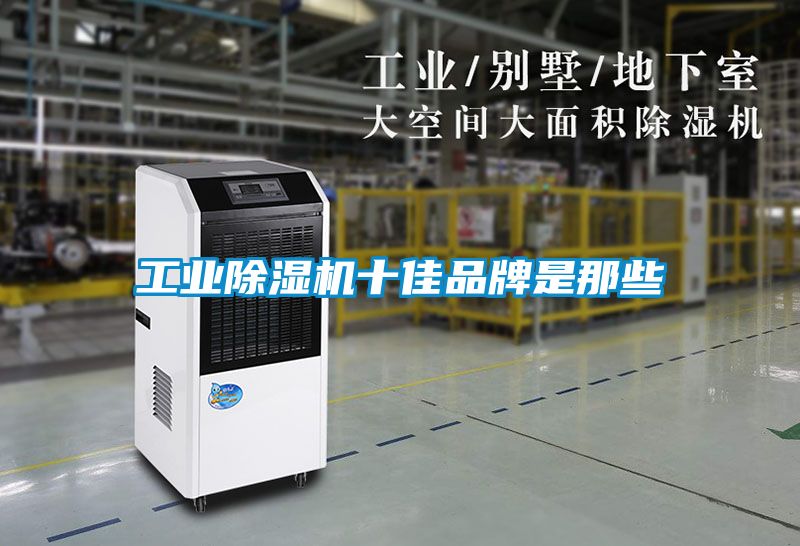 欧美成色手机在线观看 工业除湿机十佳品牌是那些