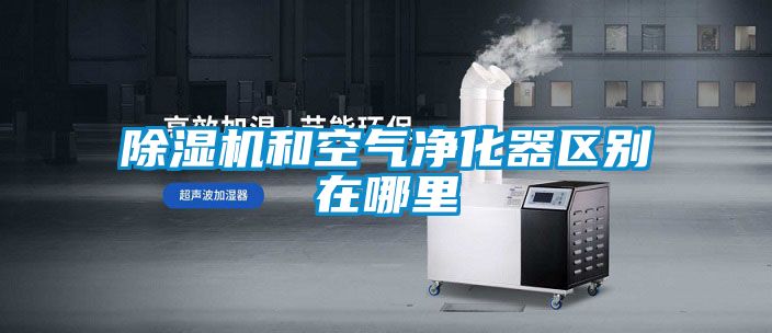 欧美黄色电影在线播放 除湿机和空气净化器区别在哪里