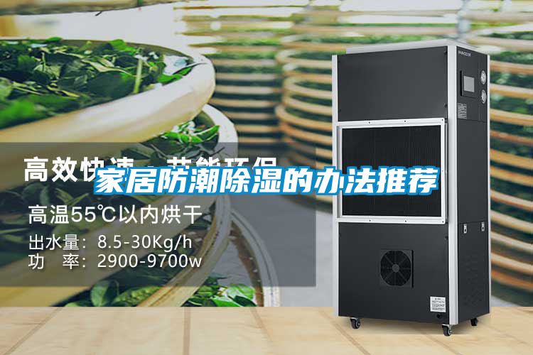 欧美黄色性爱视频网站 家居防潮除湿的办法推荐