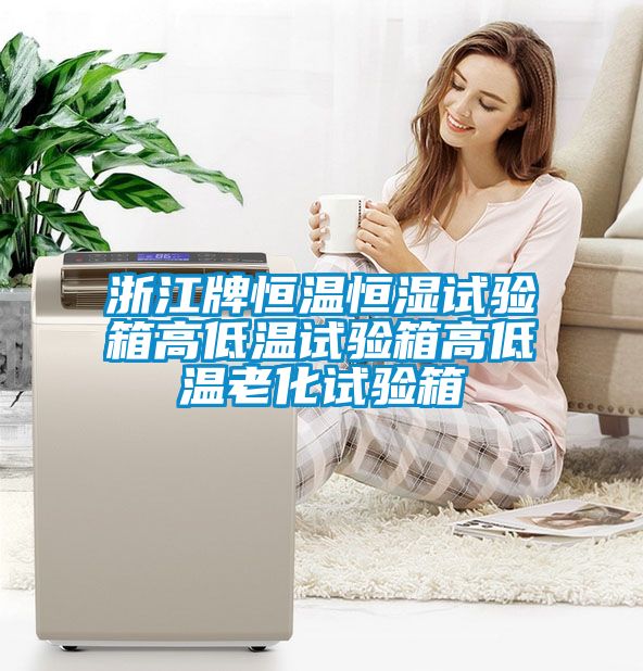 欧美成色手机在线观看 浙江牌恒温恒湿试验箱高低温试验箱高低温老化试验箱