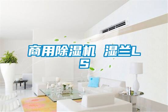 欧美黄色性爱视频网站 商用除湿机 湿兰LS