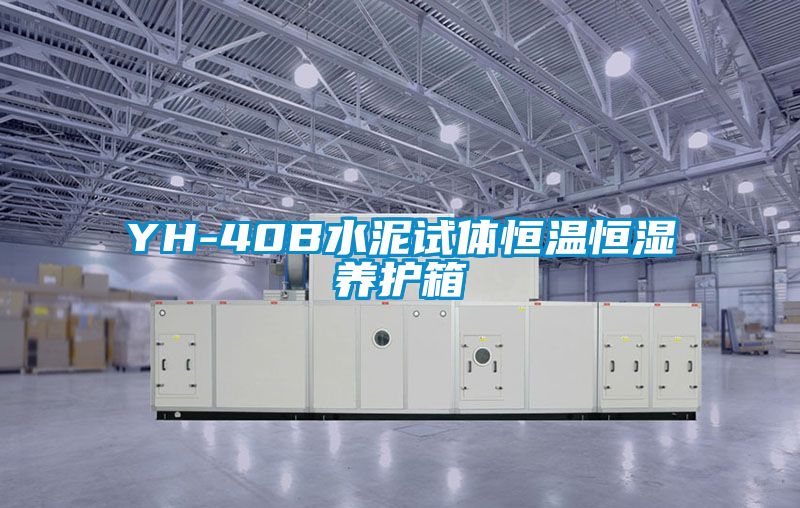 欧美黄色电影在线播放 YH-40B水泥试体恒温恒湿养护箱