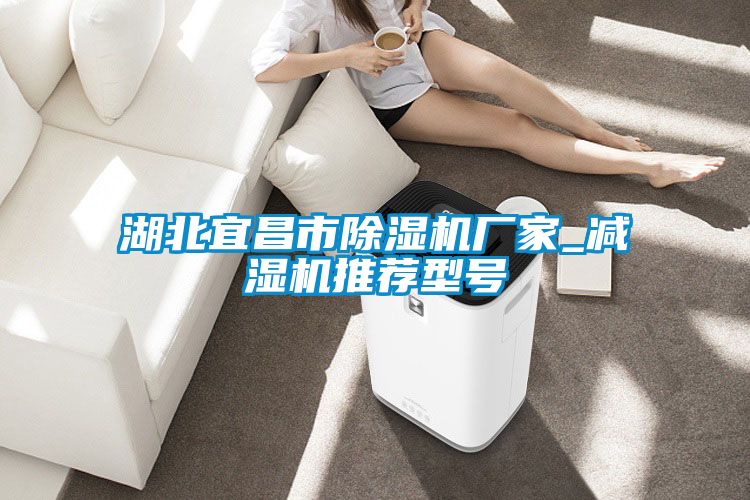 欧美黄色电影在线播放 湖北宜昌市除湿机厂家_减湿机推荐型号