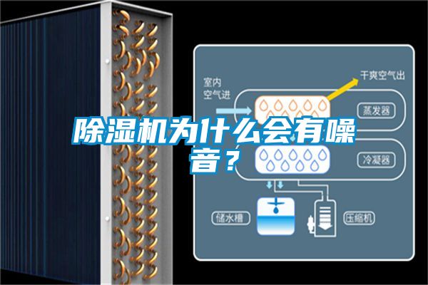 欧美黄色性爱视频网站 除湿机为什么会有噪音？