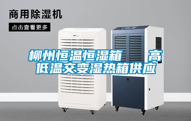 欧美黄色性爱视频网站 柳州恒温恒湿箱   高低温交变湿热箱供应
