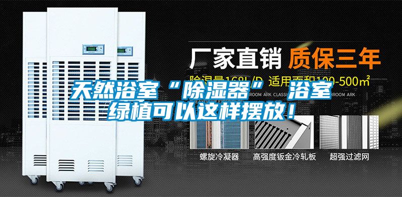 欧美黄色电影在线播放 天然浴室“除湿器” 浴室绿植可以这样摆放！