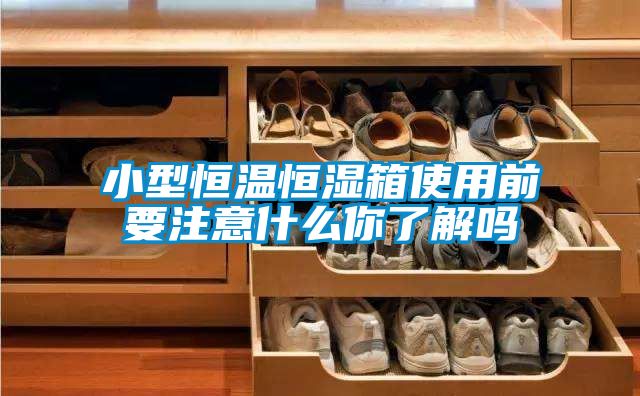 欧美黄色电影在线播放 小型恒温恒湿箱使用前要注意什么你了解吗