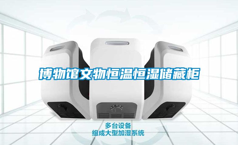 欧美黄色性爱视频网站 博物馆文物恒温恒湿储藏柜