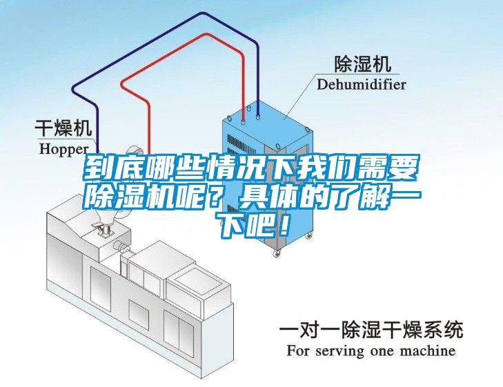 欧美成色手机在线观看 到底哪些情况下我们需要除湿机呢？具体的了解一下吧！