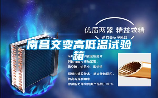欧美黄色性爱视频网站 南昌交变高低温试验箱