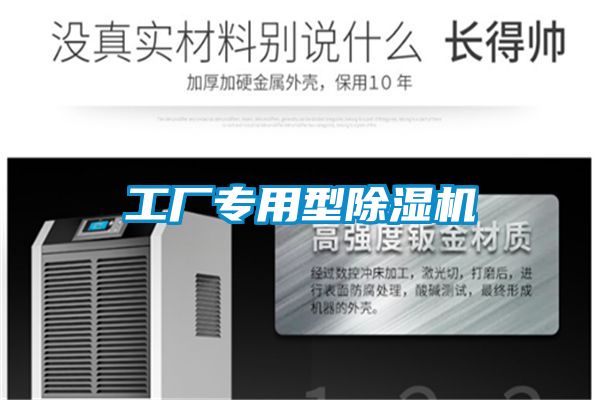 欧美黄色性爱视频网站 工厂专用型除湿机