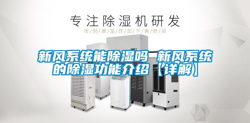 欧美黄色性爱视频网站 新风系统能除湿吗 新风系统的除湿功能介绍【详解】