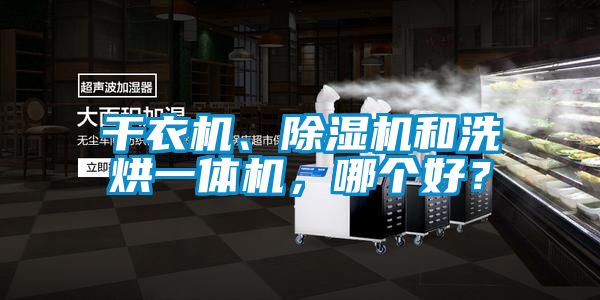欧美黄色电影在线播放 干衣机、除湿机和洗烘一体机，哪个好？