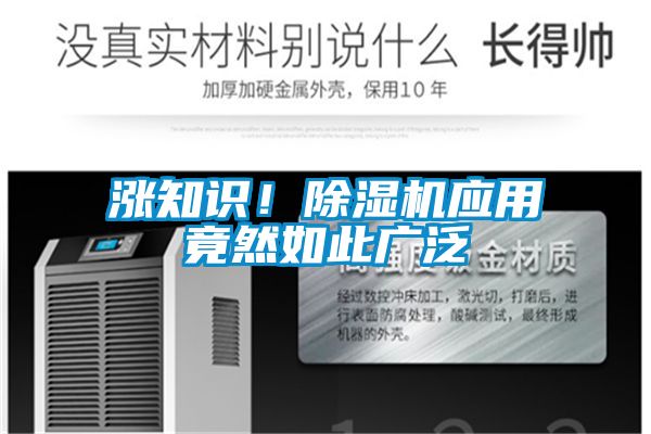 欧美黄色性爱视频网站 涨知识！除湿机应用竟然如此广泛