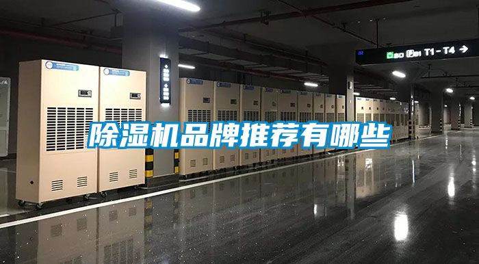 欧美黄色性爱视频网站 除湿机品牌推荐有哪些