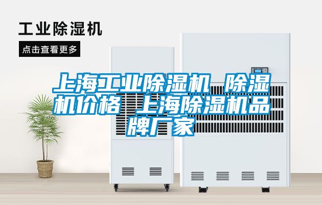 欧美成色手机在线观看 上海工业除湿机 除湿机价格 上海除湿机品牌厂家