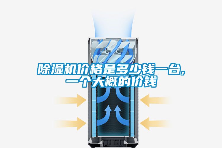 欧美黄色电影在线播放 除湿机价格是多少钱一台,一个大概的价钱
