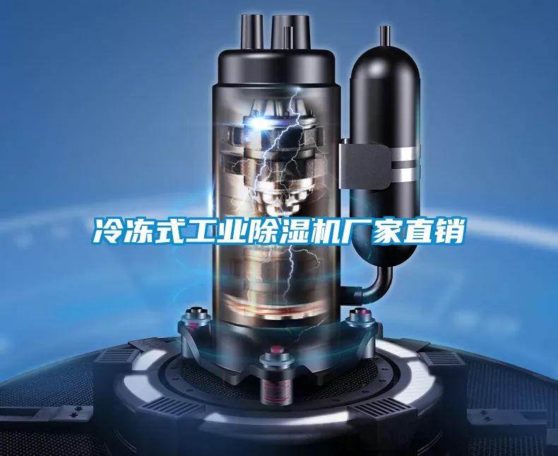 欧美黄色性爱视频网站 冷冻式工业除湿机厂家直销