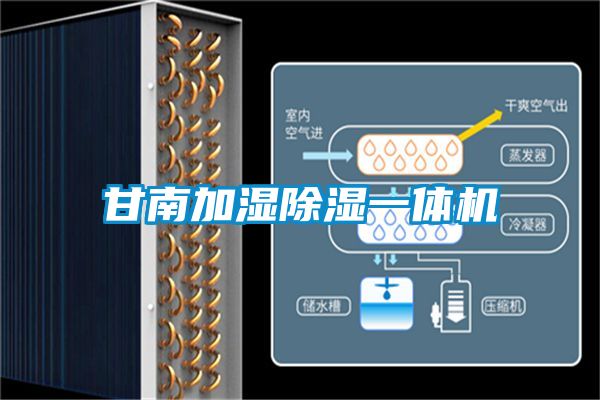 欧美黄色电影在线播放 甘南加湿除湿一体机