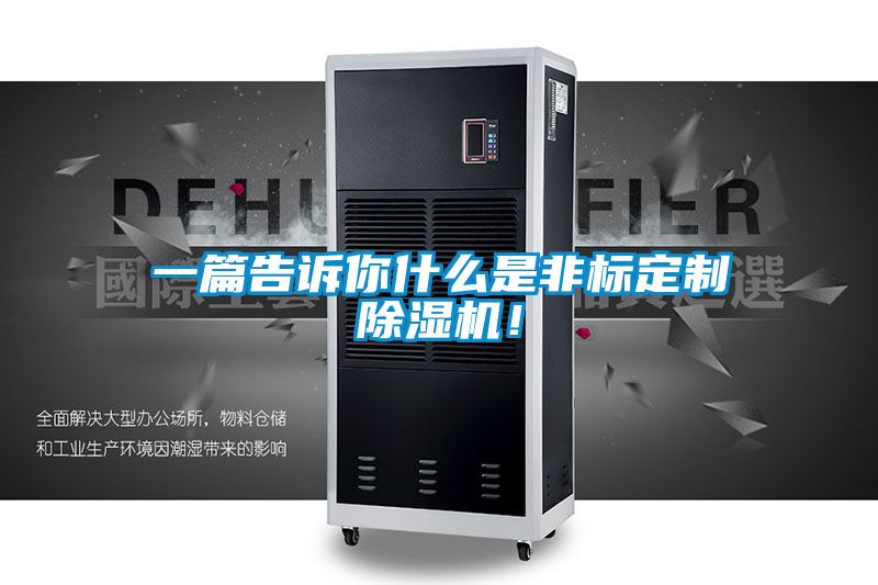 欧美黄色电影在线播放 一篇告诉你什么是非标定制除湿机！