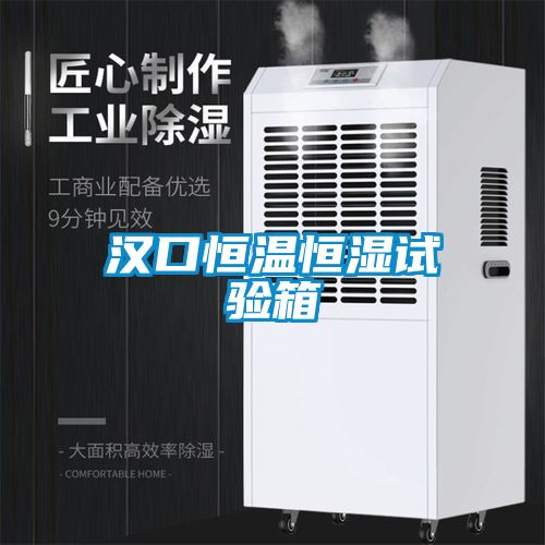 欧美黄色性爱视频网站 汉口恒温恒湿试验箱