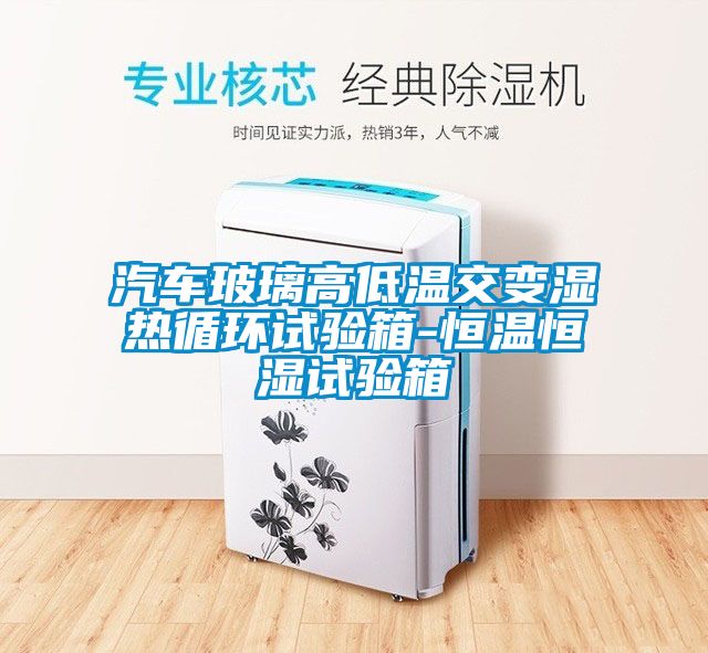 欧美黄色性爱视频网站 汽车玻璃高低温交变湿热循环试验箱-恒温恒湿试验箱
