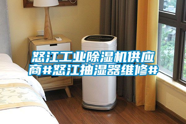 欧美黄色电影在线播放 怒江工业除湿机供应商#怒江抽湿器维修#