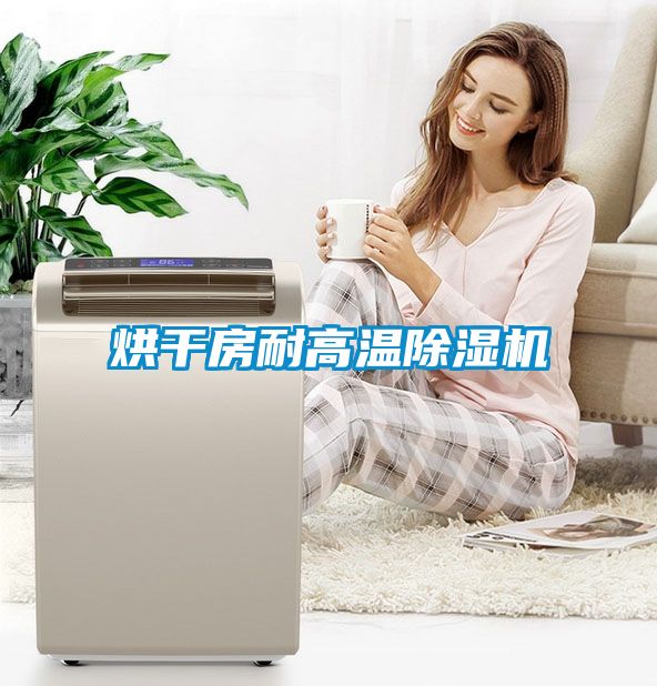 欧美黄色电影在线播放 烘干房耐高温除湿机