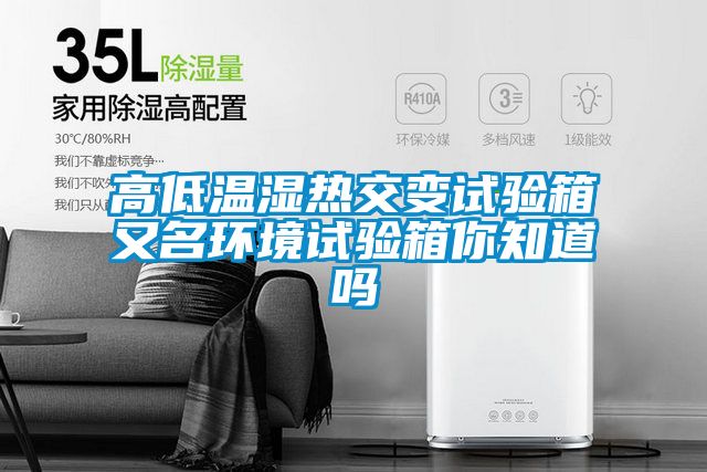 欧美成色手机在线观看 高低温湿热交变试验箱又名环境试验箱你知道吗