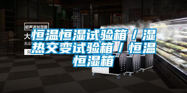 欧美黄色性爱视频网站 恒温恒湿试验箱／湿热交变试验箱／恒温恒湿箱