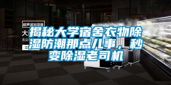 欧美成色手机在线观看 揭秘大学宿舍衣物除湿防潮那点儿事，秒变除湿老司机