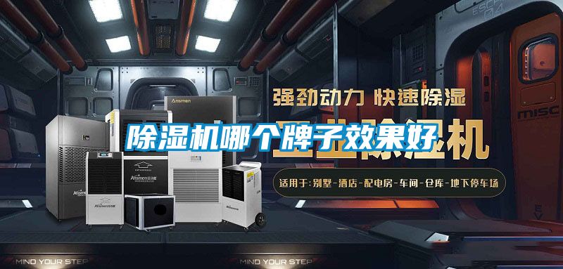 欧美成色手机在线观看 除湿机哪个牌子效果好