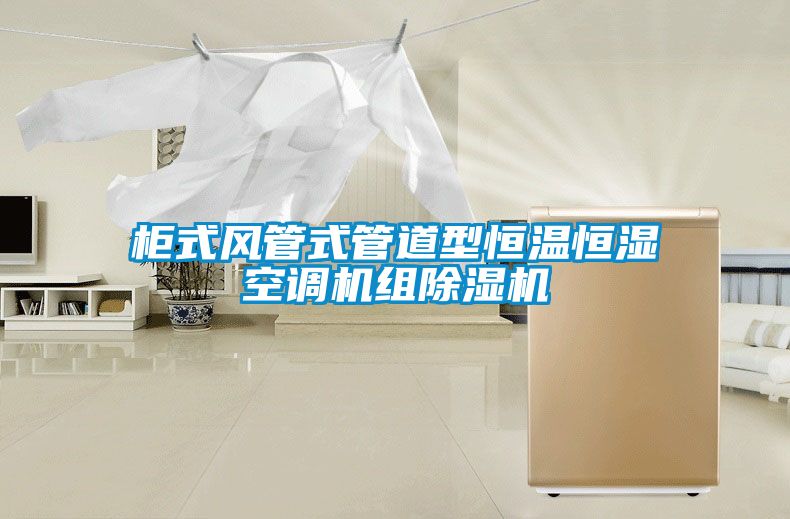 欧美黄色性爱视频网站 柜式风管式管道型恒温恒湿空调机组除湿机