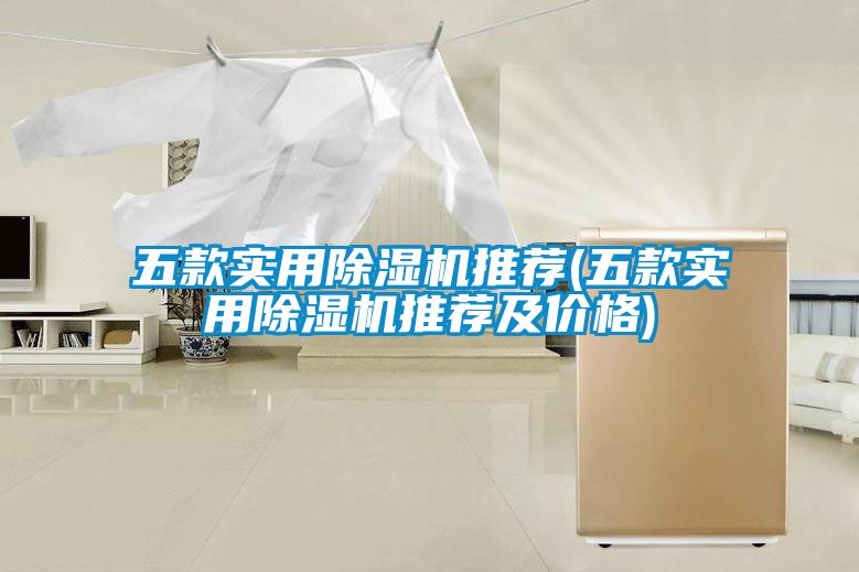 欧美黄色性爱视频网站 五款实用除湿机推荐(五款实用除湿机推荐及价格)