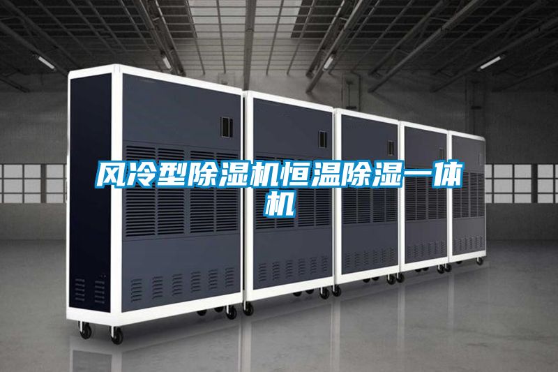 欧美黄色性爱视频网站 风冷型除湿机恒温除湿一体机