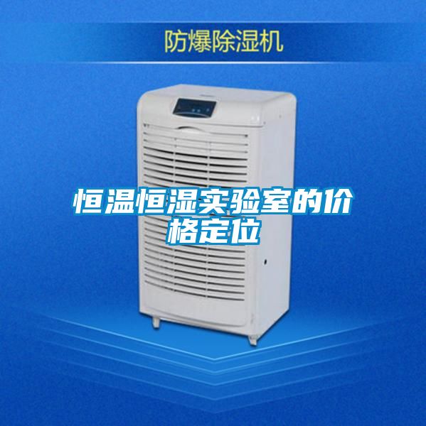 欧美黄色电影在线播放 恒温恒湿实验室的价格定位