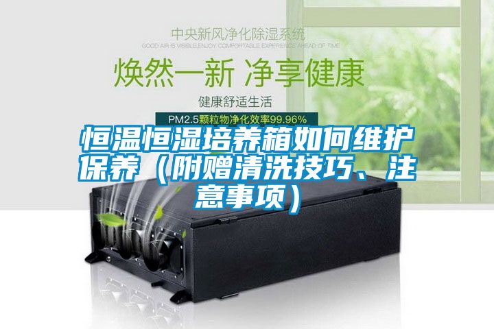 欧美黄色电影在线播放 恒温恒湿培养箱如何维护保养（附赠清洗技巧、注意事项）