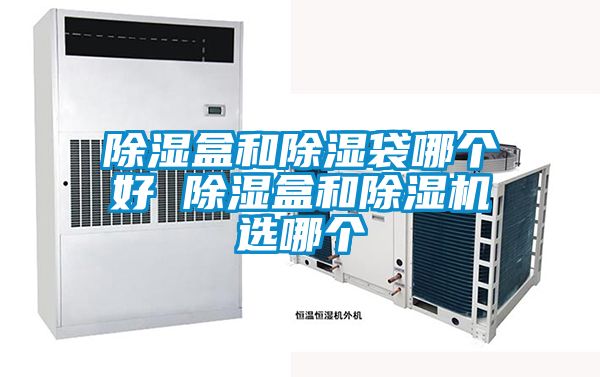 欧美成色手机在线观看 除湿盒和除湿袋哪个好 除湿盒和除湿机选哪个