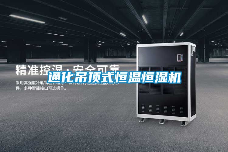 欧美黄色性爱视频网站 通化吊顶式恒温恒湿机
